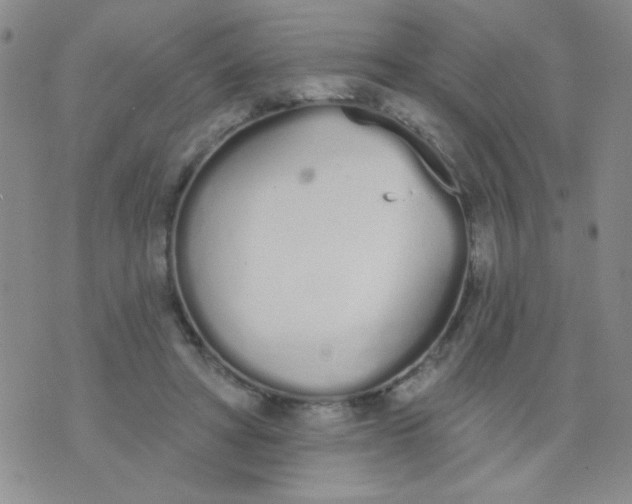 X0000074320402200609152037