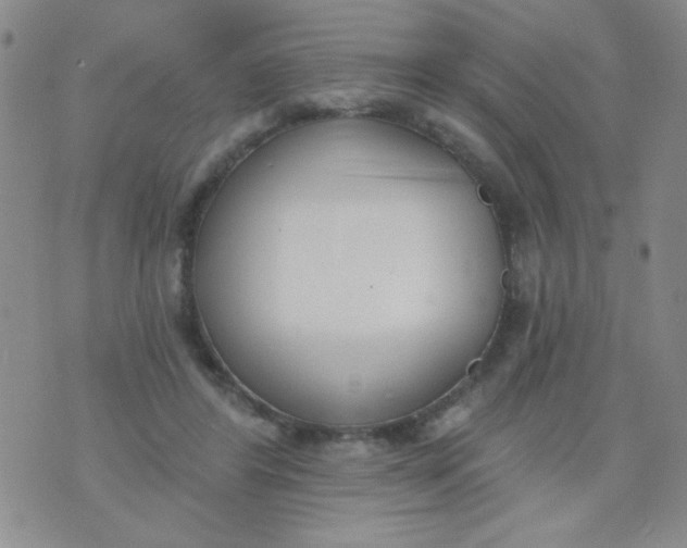 X0000074320404200609152037