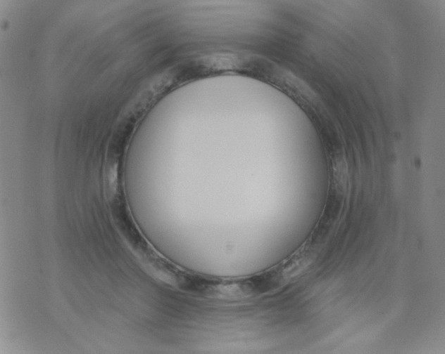 X0000074320406200609152037