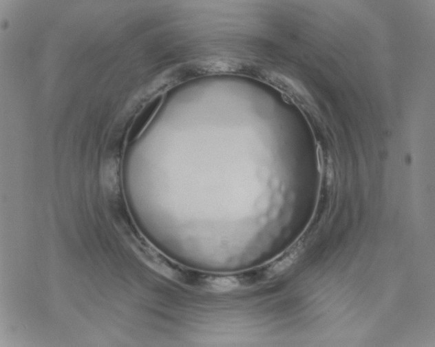 X0000074320409200609152037