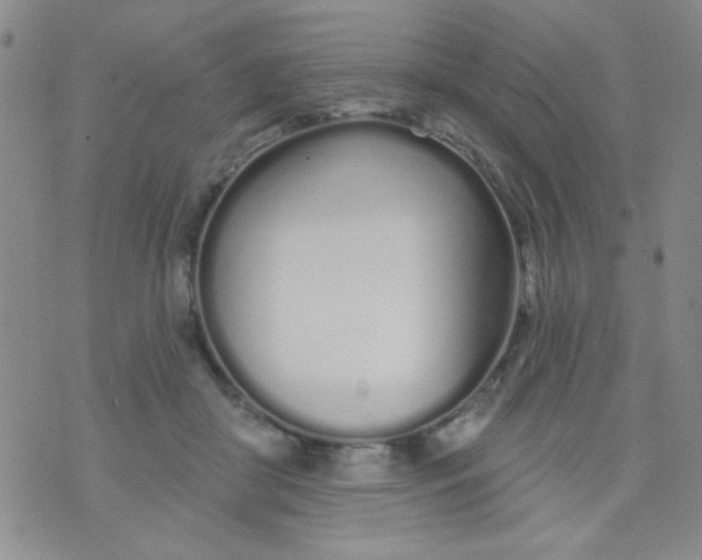 X0000074320410200609152037