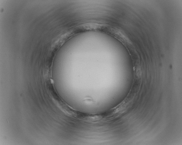 X0000074320411200609152037