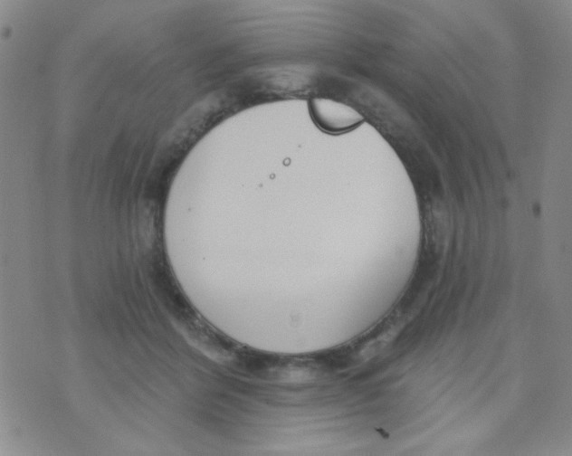 X0000074320412200609152037