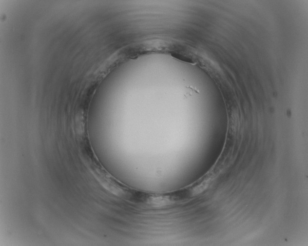 X0000074320413200609152037