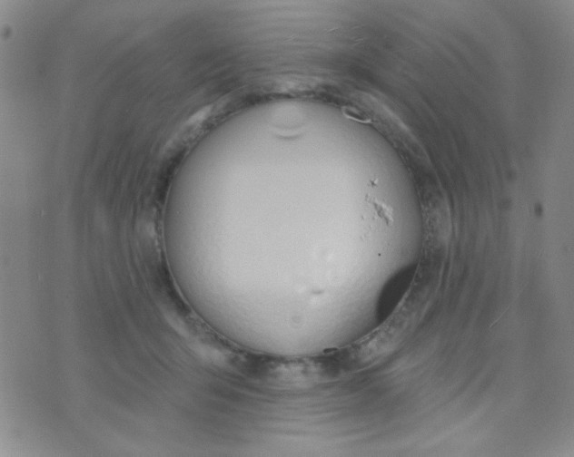 X0000074320415200609152037