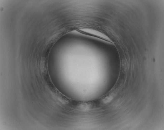 X0000074320416200609152037