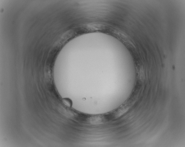 X0000074320418200609152037