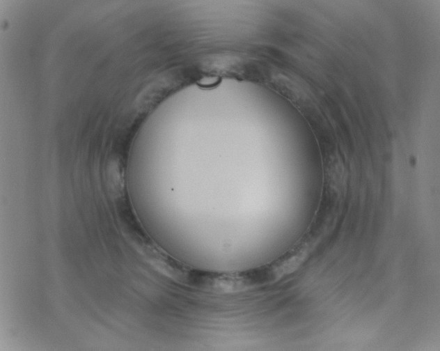 X0000074320420200609152037