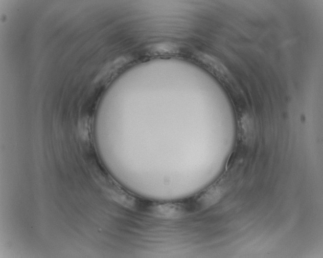 X0000074320423200609152037