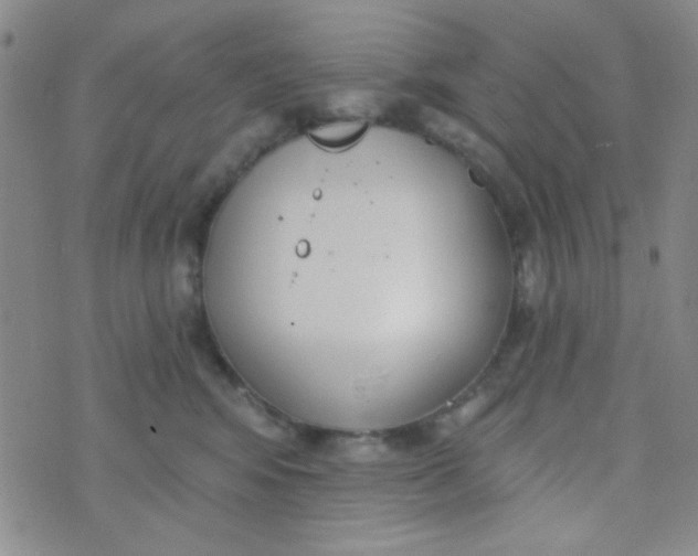 X0000074320424200609152037