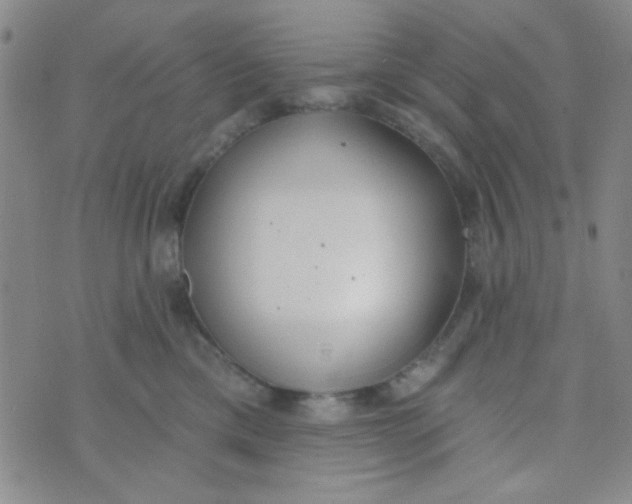 X0000074320425200609152037