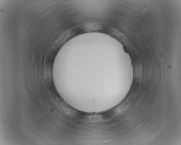 X0000074320426200609152037