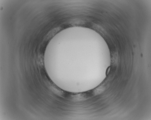 X0000074320430200609152037