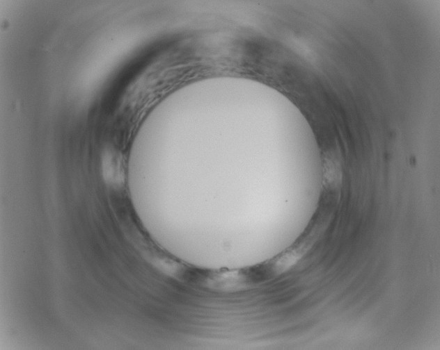 X0000074320431200609152037