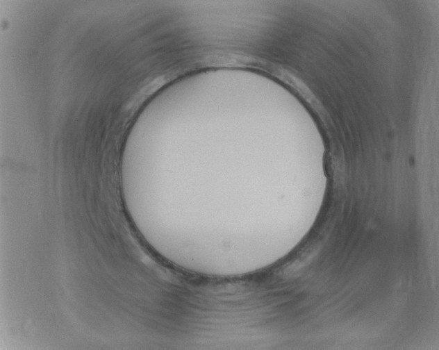 X0000074320433200609152036