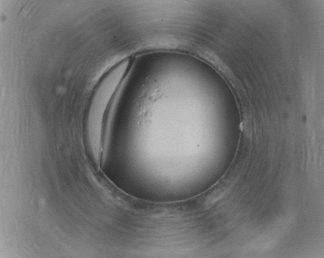 X0000074320434200609152036