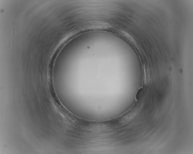 X0000074320435200609152036