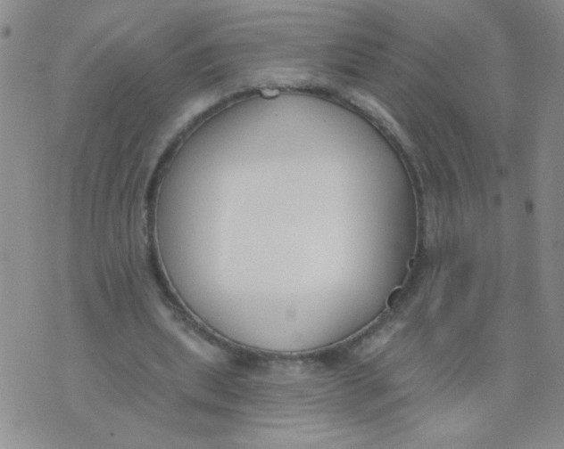 X0000074320439200609152036