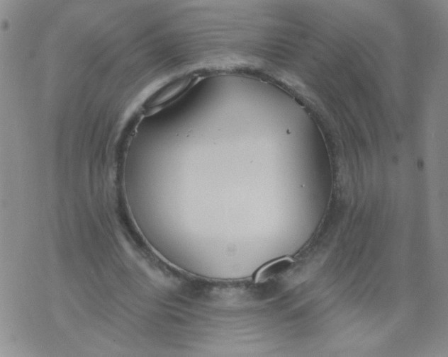 X0000074320440200609152036