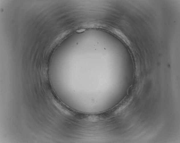 X0000074320441200609152036