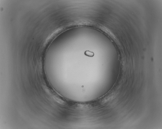 X0000074320442200609152036