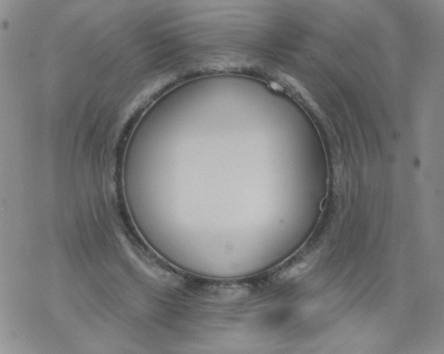 X0000074320443200609152036