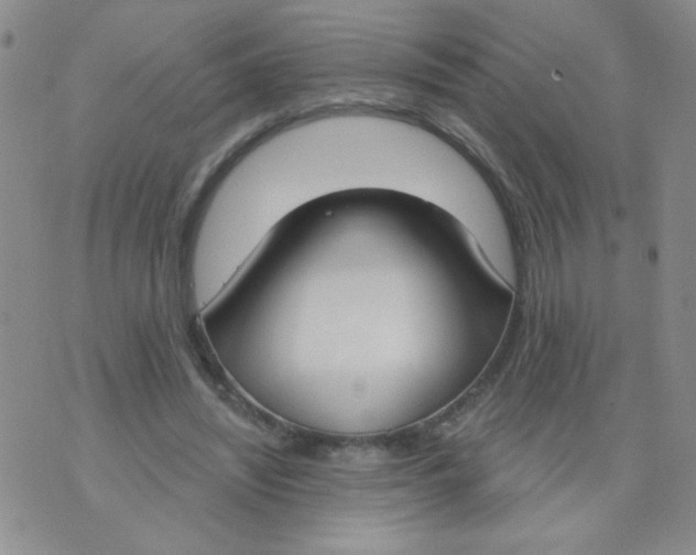 X0000074320444200609152036