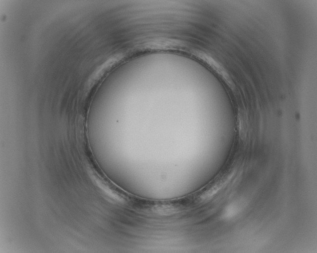 X0000074320445200609152036