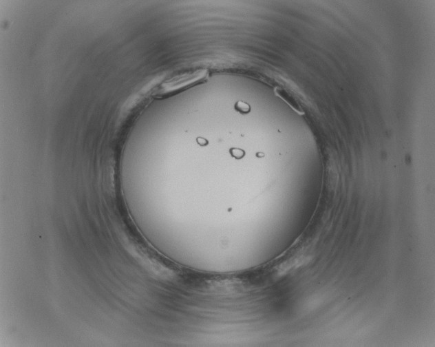 X0000074320446200609152036