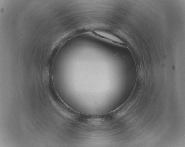 X0000074320448200609152036