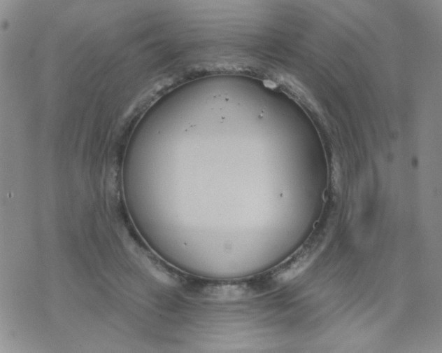 X0000074320449200609152036