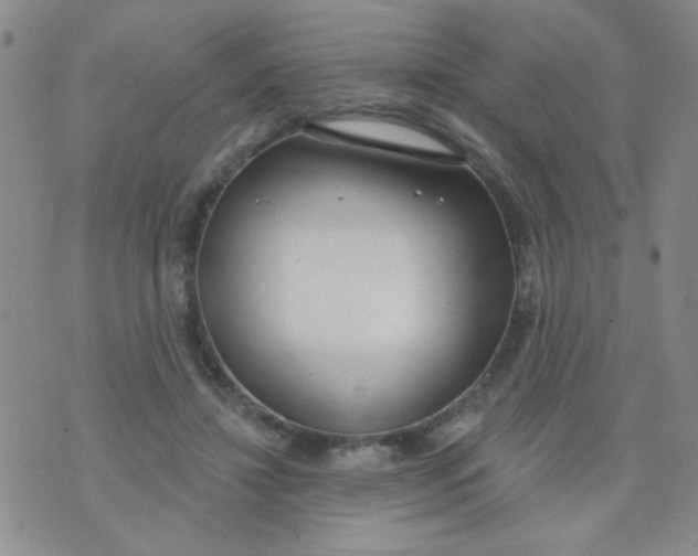 X0000074320452200609152036