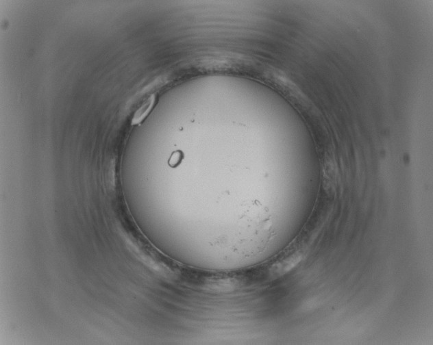 X0000074320454200609152036