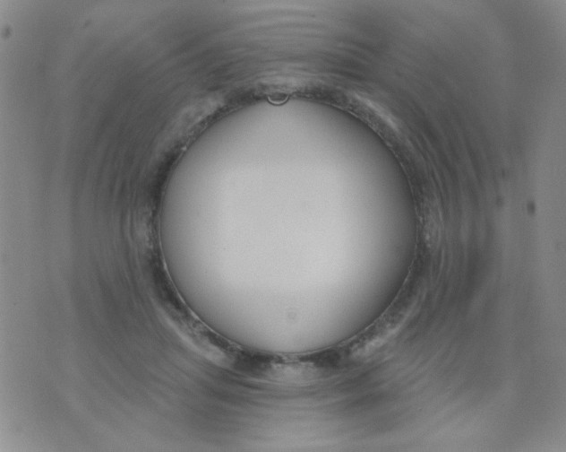 X0000074320455200609152036