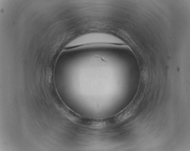 X0000074320458200609152036