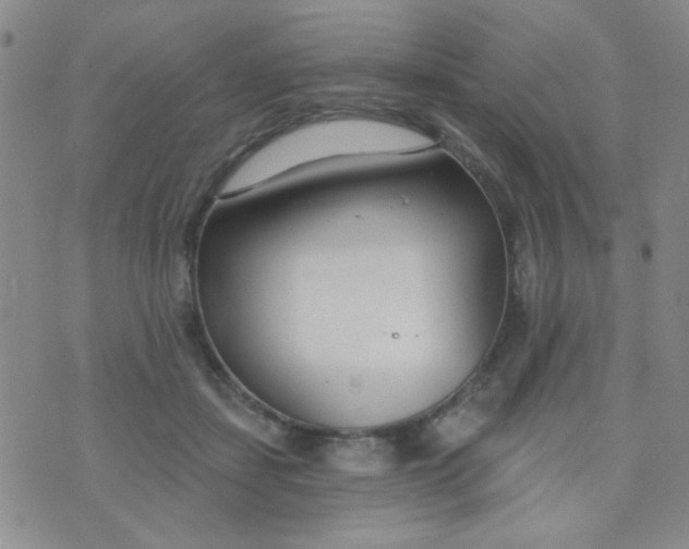 X0000074320459200609152036