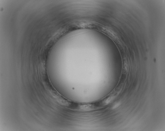 X0000074320461200609152036