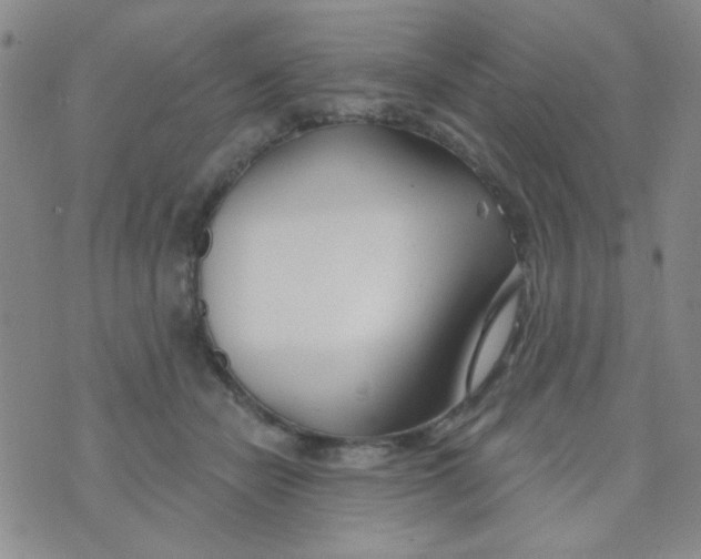 X0000074320462200609152036