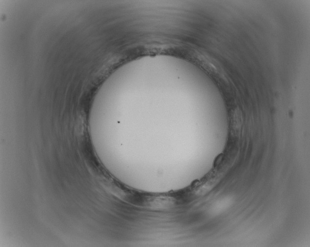 X0000074320463200609152036