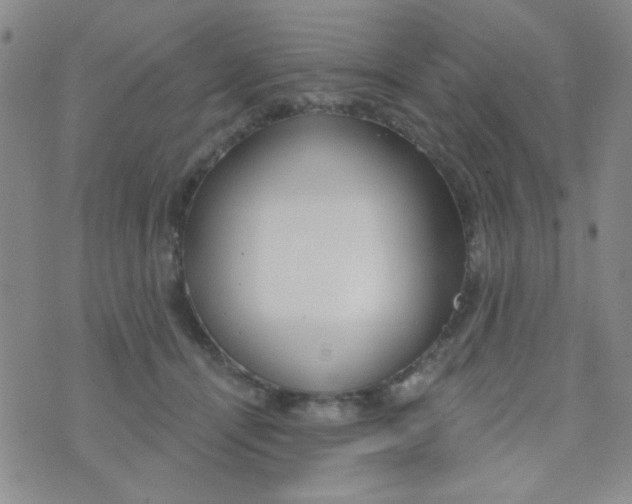 X0000074320464200609152036