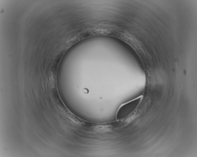 X0000074320465200609152036