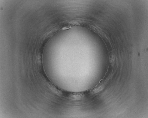 X0000074320466200609152036