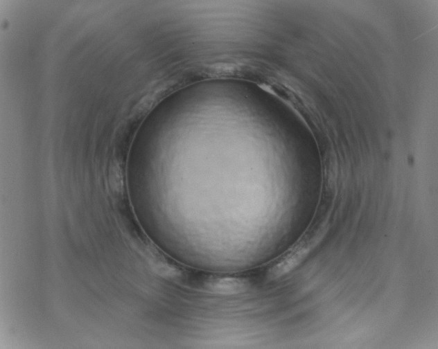 X0000074320467200609152036