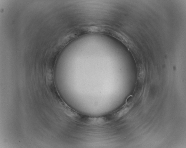 X0000074320469200609152036