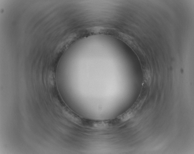 X0000074320470200609152036