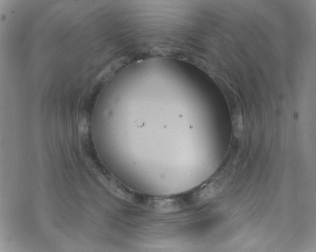 X0000074320472200609152036