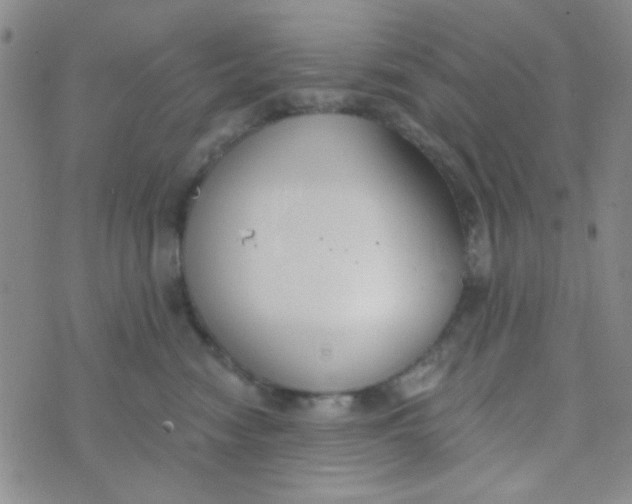 X0000074320474200609152036