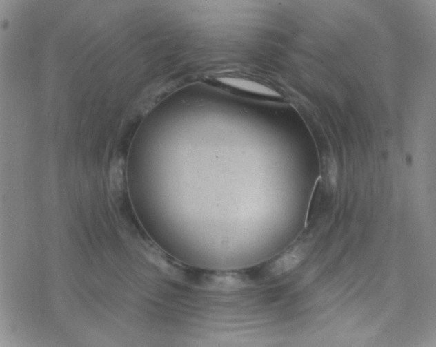 X0000074320475200609152036