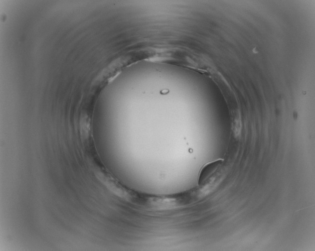 X0000074320476200609152036