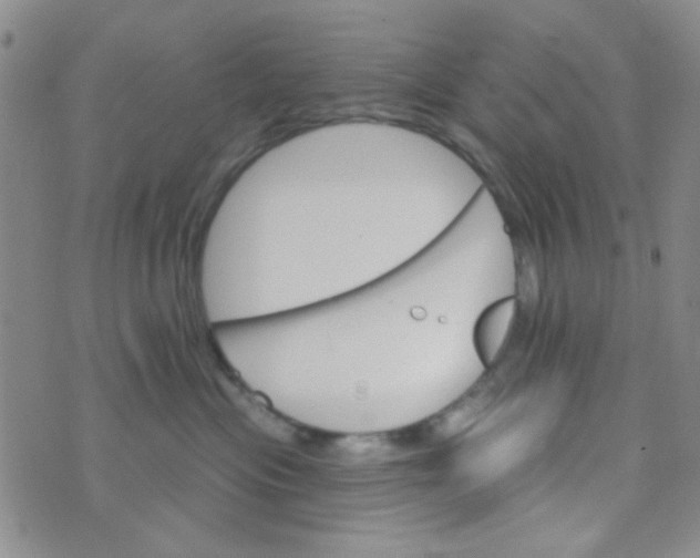 X0000074320477200609152036